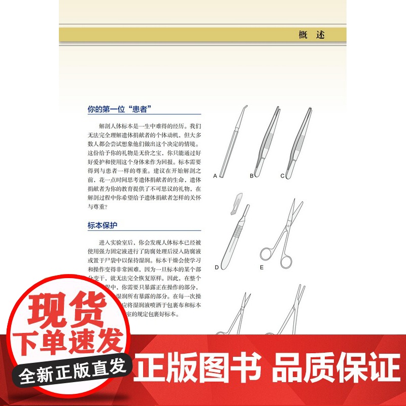 Grant解剖学操作指南 第17版 解剖学 临床 医药卫生 北京科学技术高清大图