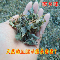 大别山区农家野生鱼腥鱼腥干折耳根全新货500克