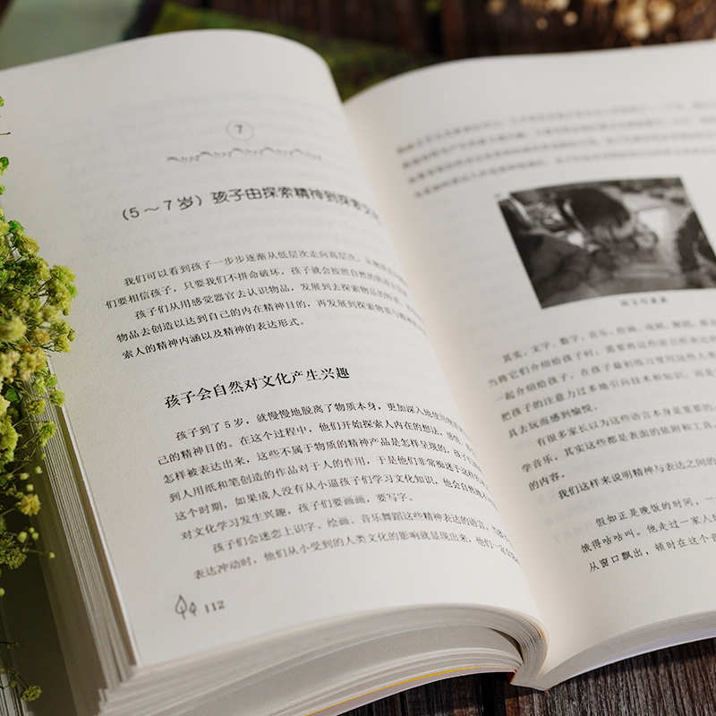 [醉染正版]正版 关键期关键帮助 李跃儿 教育孩子书籍 如何捕捉孩子敏感时期 了解孩子成长的秘密 育儿父母必读早教书 家高清大图
