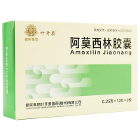 叶开泰 阿莫西林胶囊 0.25克*12粒*2板