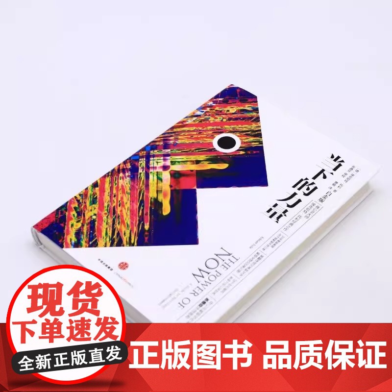 [央视网]当下的力量(白金版) 精装 埃克哈特·托利 著 身心灵 张德芬作序 中信出版社图书 自我励志经典之作SS高清大图