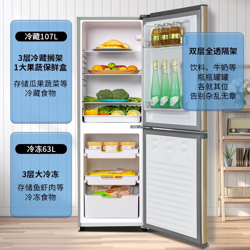 创维 创维170升小型双门冰箱家用两门小冰箱 迷你节能低音电冰箱 家用租房冰箱 BCD-170普利金