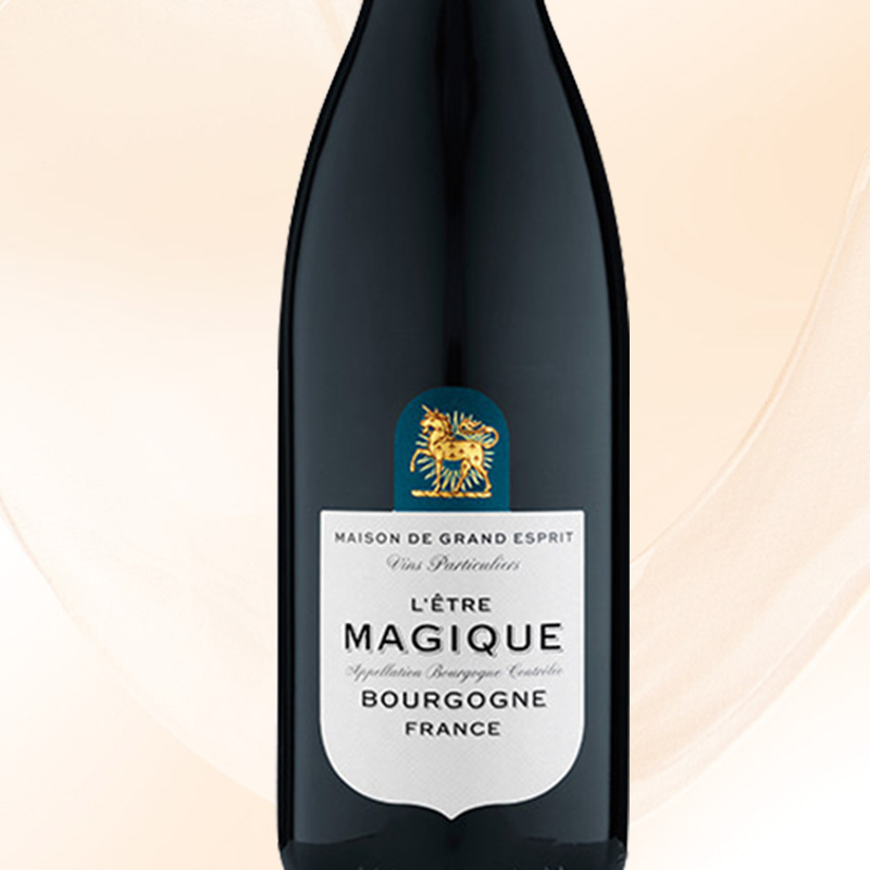 光之颂亿(MAISON DE GRAND ESPRIT) 勃艮第红葡萄酒750ml 红酒 法国进口 [富邑旗下]