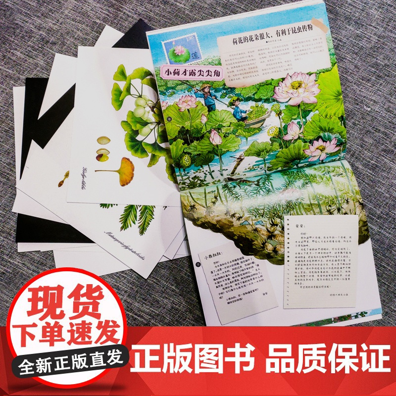 中国植物很高兴认识你我的野生动物邻居我们生活的奇妙世界5-12岁大自然科学科普绘本6册套装手绘大福插图动物植物生物启蒙百