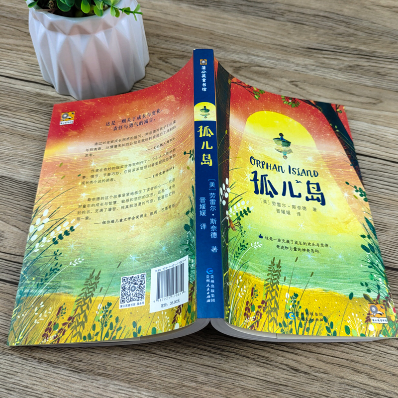 城市之光 [正版]孤儿岛 五年级百班千人暑假阅读书 小学生课外书必读书籍 劳雷尔•斯奈德 著 祖庆说大阅小森 长江少年儿
