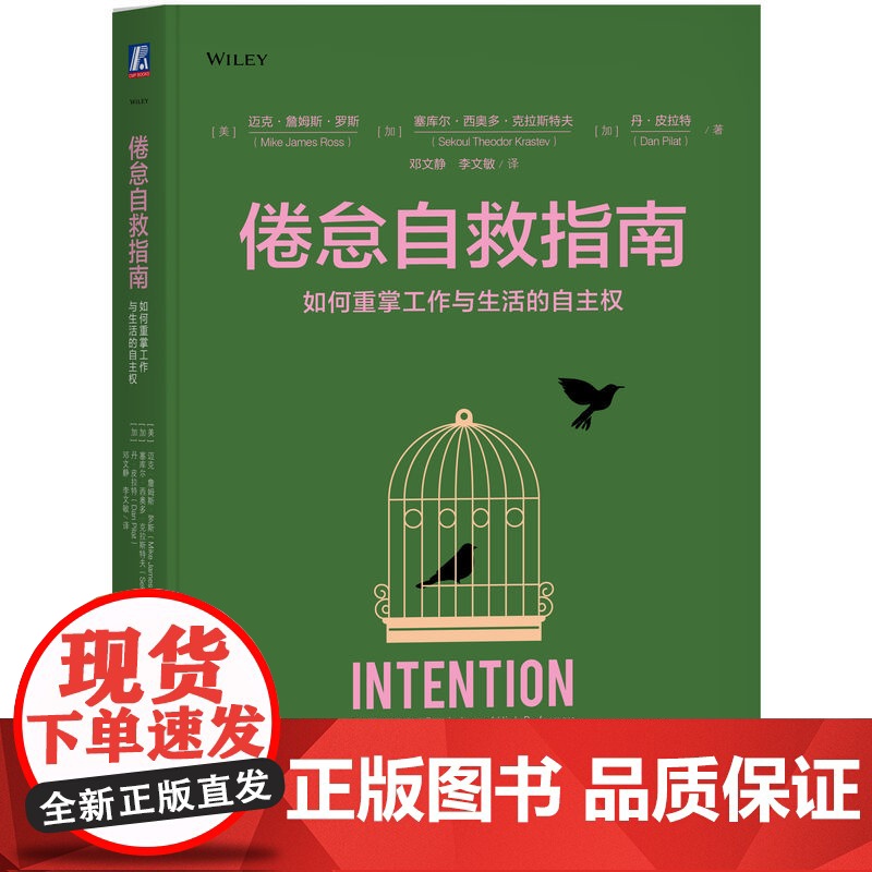 正版 倦怠自救指南:如何重掌工作与生活的自主权 迈克·詹姆斯·罗斯 工作状态 管理 情绪管理 职场 职场情绪管理 管高清大图