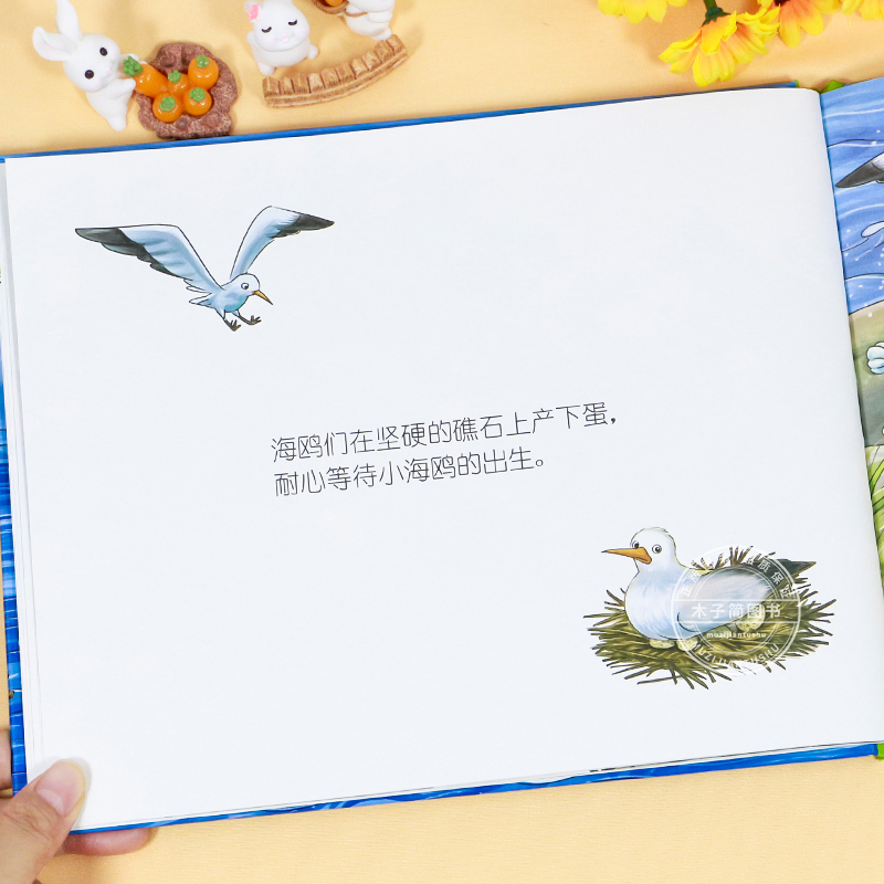 小岛 精装硬壳绘本 [正版]小岛 精装硬壳绘本 玛格丽特经典绘本 婴幼儿启蒙认知绘本0-1-2-3-6岁幼儿园阅读图画书高清大图