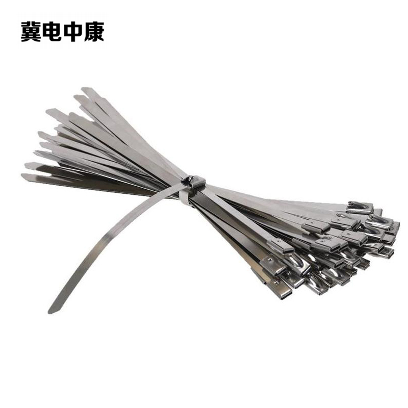 冀电中康 304不锈钢扎带 4.6*150mm 包 100个/包高清大图