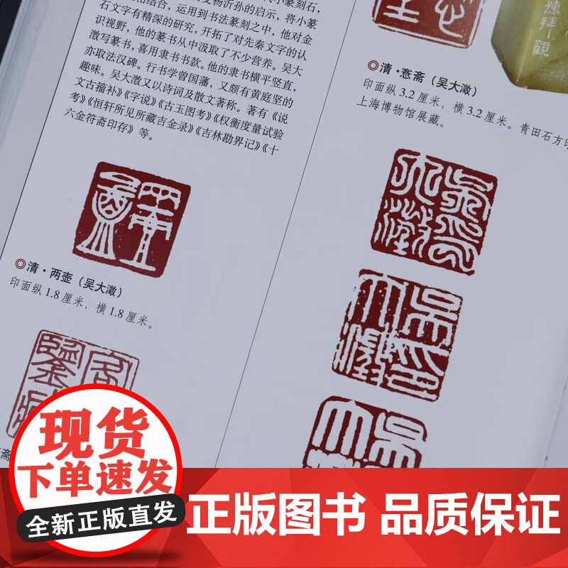 [精装]玺印篆刻收藏入门图鉴 鉴宝丛书古玺印图典玺印篆刻收藏图鉴玺印印章玺印文字中国玺印考古收藏鉴赏图鉴书法篆刻书籍高清大图