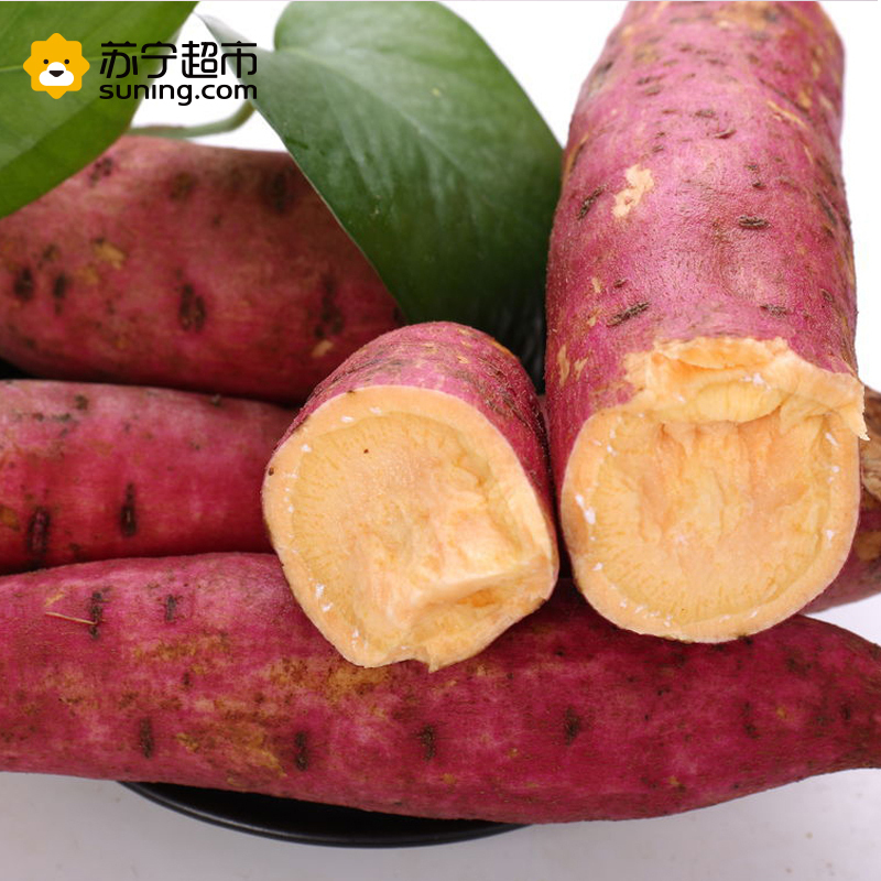 广东湛江西瓜红蜜薯红心软糯香甜无筋蜜薯5斤装
