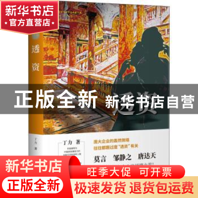 正版 透资 丁力 中国文史出版社 9787520528788 书籍