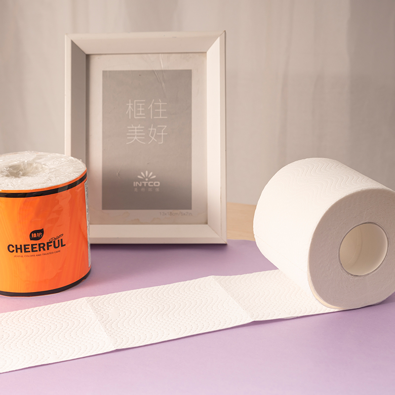 植护 悦色家用卫生纸实惠装有芯卷纸 16卷/箱15226430101 16卷/箱