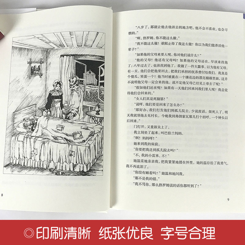 [正版]苦儿流浪记 书 埃克多.马洛原著 青少版励志书 世界名著书籍 四五六年级小学生课外阅读必读书籍hp高清大图