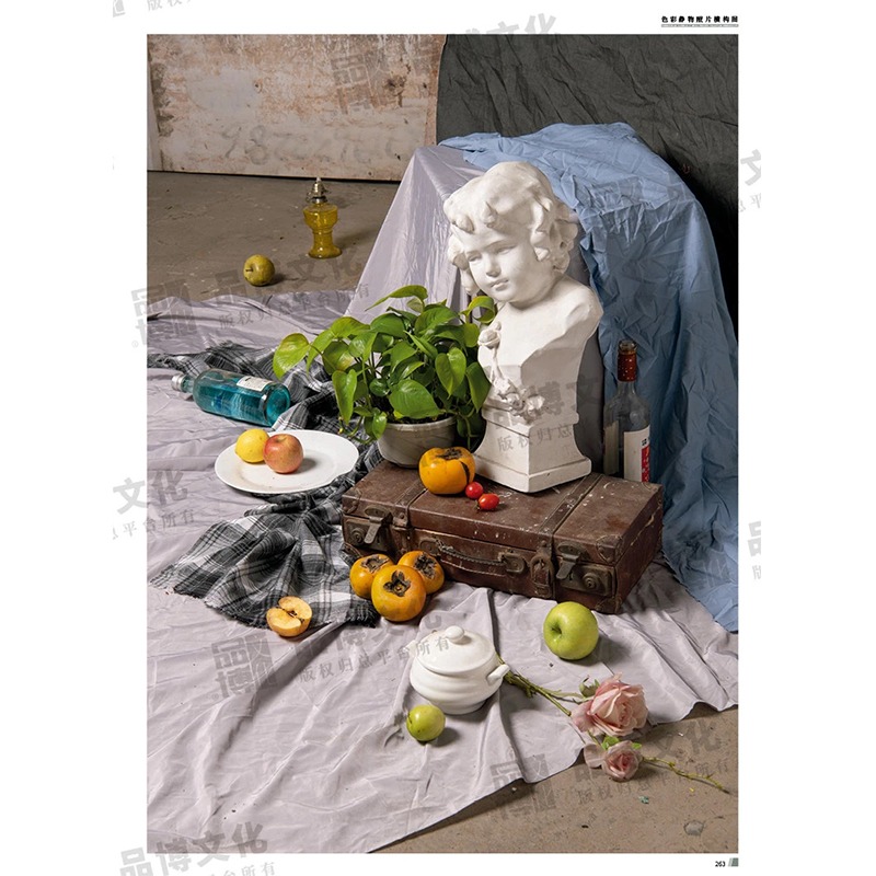 [正版]征战联考5色彩静物照片横构图 2023品博文化高清大图