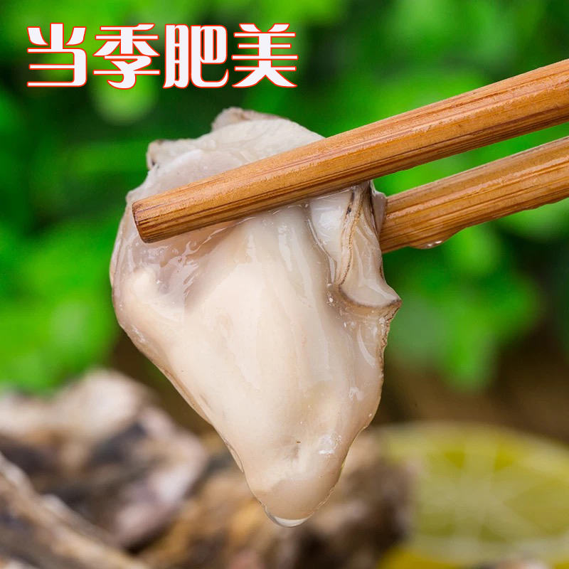 [活鲜]沈志雄船长 刺身生蚝海蛎东山岛牡蛎 冷水蚝 刺身生蚝2.5kg (约35-42个) 顺丰空运