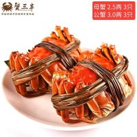【顺丰发货 礼盒装】蟹三丰大闸蟹六只鲜活礼盒装 公3.0两 母2.5两 原产地直发