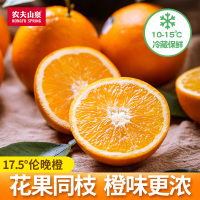 农夫山泉 17.5度伦晚脐橙 当季生鲜礼盒 农夫伦晚橙3kg