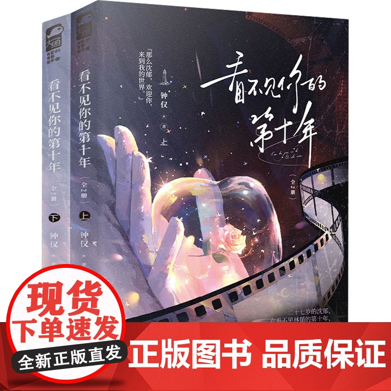 看不见你的第十年(全2册) 钟仅 著 四川文艺出版社 情感小说 青春/都市/言情/轻小说高清大图
