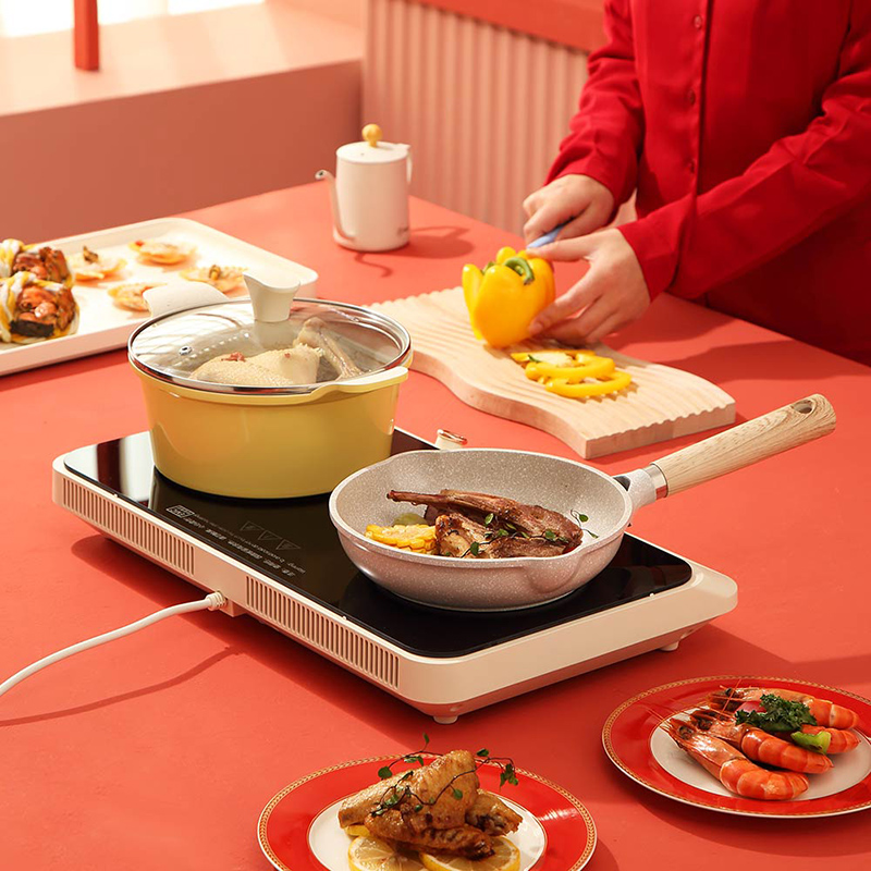 大宇 双头电磁炉(IH多功能料理盘) DYHG-C20A1高清大图