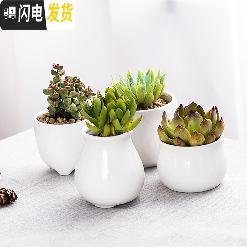 三维工匠多肉花盆 ins白色简约陶瓷大花盆 定制logo小花盆 浅灰色带脚小方002 中等花盆容器高清大图
