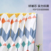 百丽丝家纺印花抗菌夏被单人双人可水洗抗菌科技夏凉被薄被子