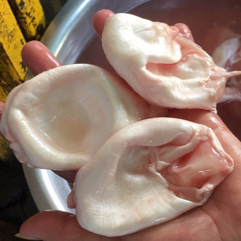 新鲜鱼泡 500g 草鱼鲢子鱼宝鱼泡鱼漂鱼鳔鱼肚鱼胶花