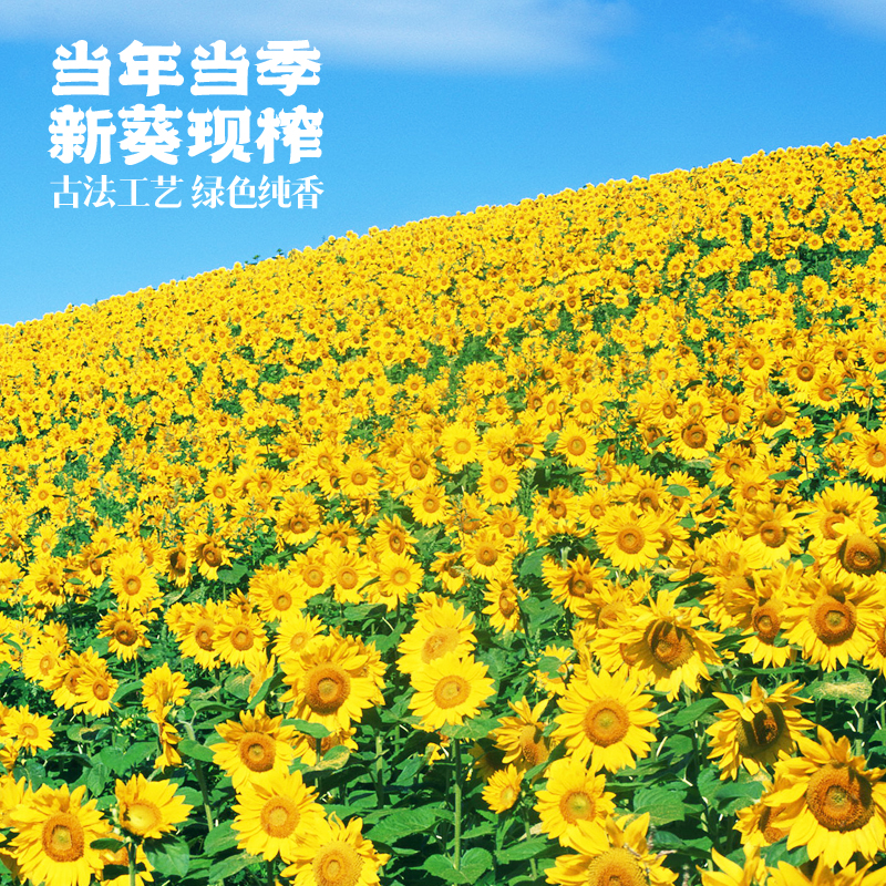 米妹妹葵花籽油248ml高清大图