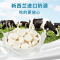 珍丽友 奶贝牛奶压片糖果500g(约240颗)儿童宝宝干吃奶酪贝糖果零食