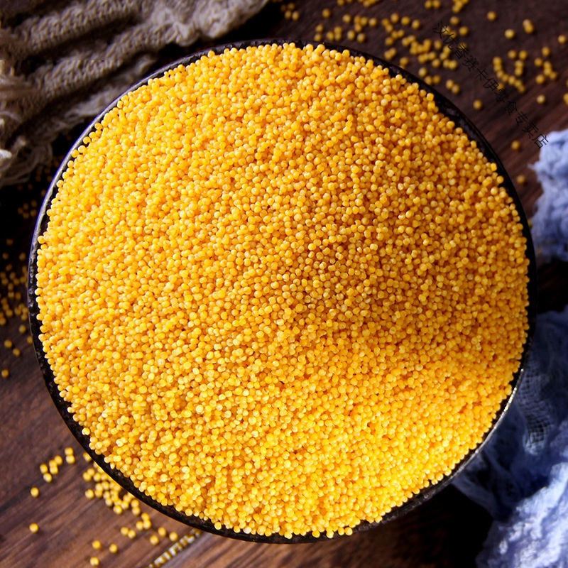 赤峰金苗小米新米5斤农家养胃黄小米月子五谷杂粮宝宝米1斤精选高品质