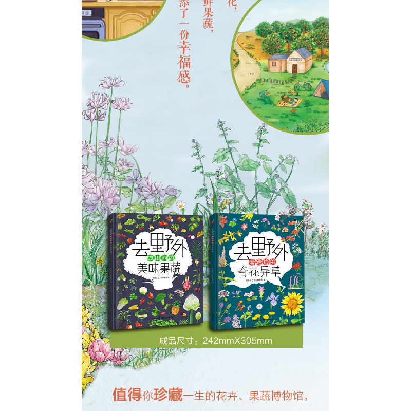 醉染图书去野外 看路边的奇花异草9787557557928高清大图