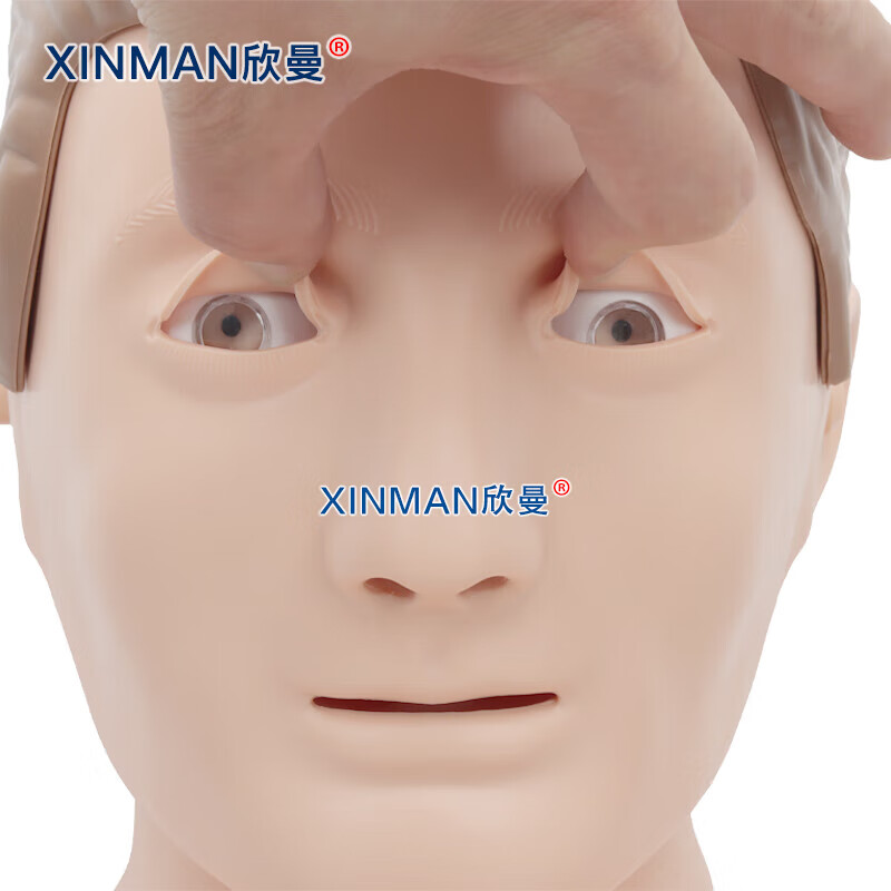 欣曼科教 高级全身心肺复苏及AED除颤模拟人 计算机控制 无线版XM-ALS993高清大图