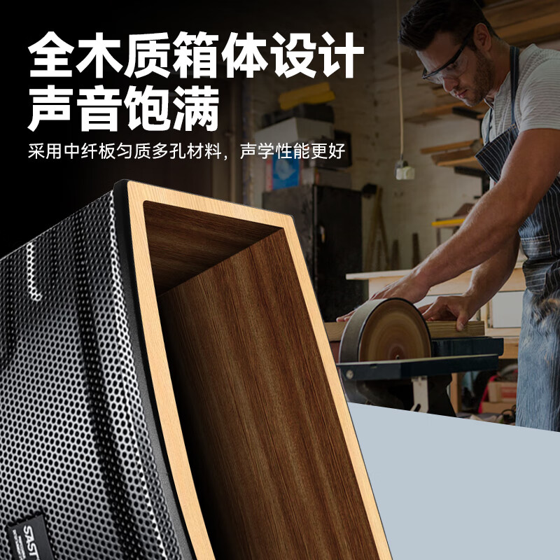 先科(SAST)A10V KTV点歌机家用音响套装家庭影院组合 舞台会议卡拉OK唱歌全套设备舞台演出专业音箱高清大图