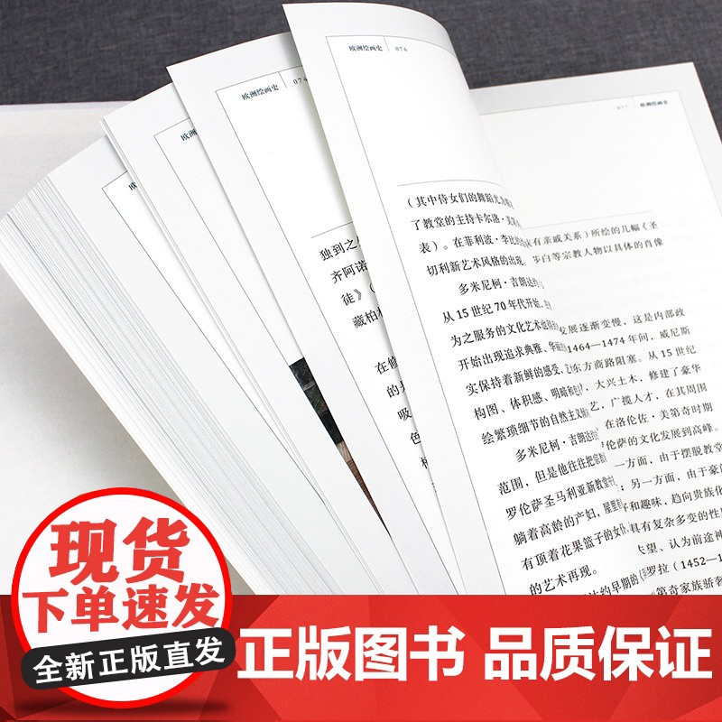 正版 欧洲绘画史 邵大箴 奚静之 邵大箴书系 艺术 人文 湖南美术出版社店高清大图