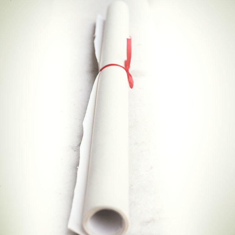 diy数字油彩画手绘动物风景客厅动物卧室装饰画 天鹅仙子