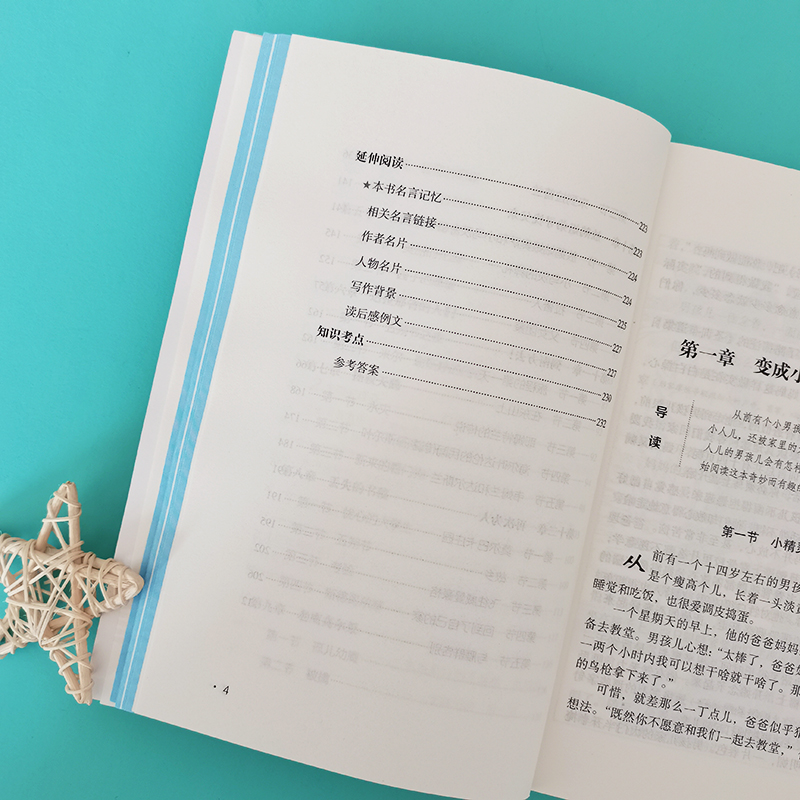 励志版 尼尔斯骑鹅旅行记高清大图