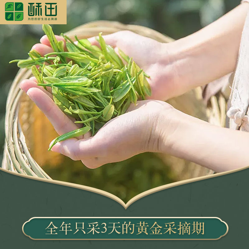 酥田(SUTIAN)明前新茶上市安吉白茶绿茶茶叶明前精品头采白茶50g/罐高清大图