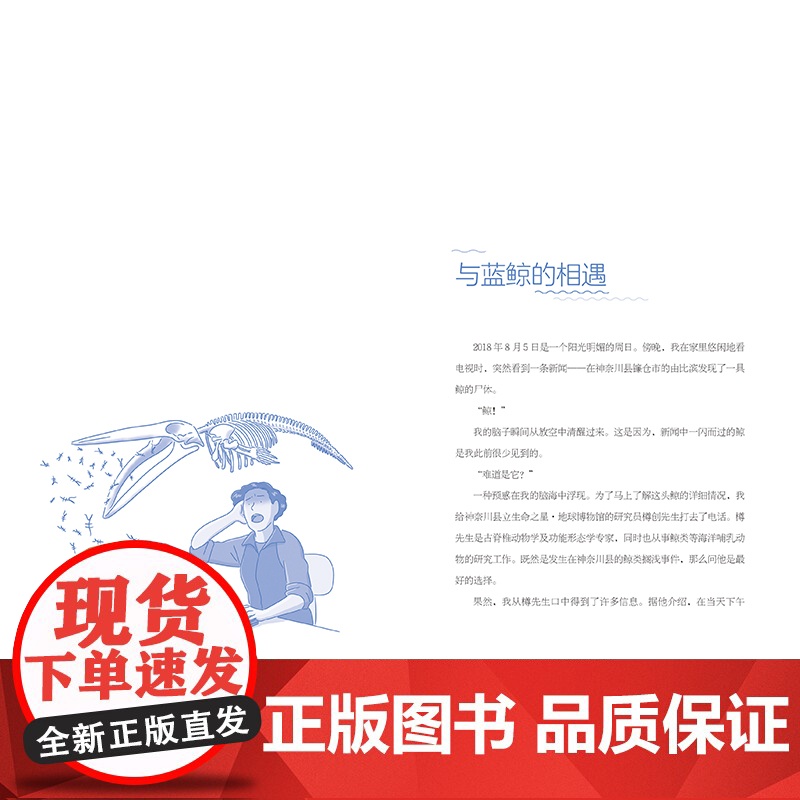 如何解剖鲸鱼 科普 鲸鱼 解剖 尸检 生命哲学 北京科学技术高清大图