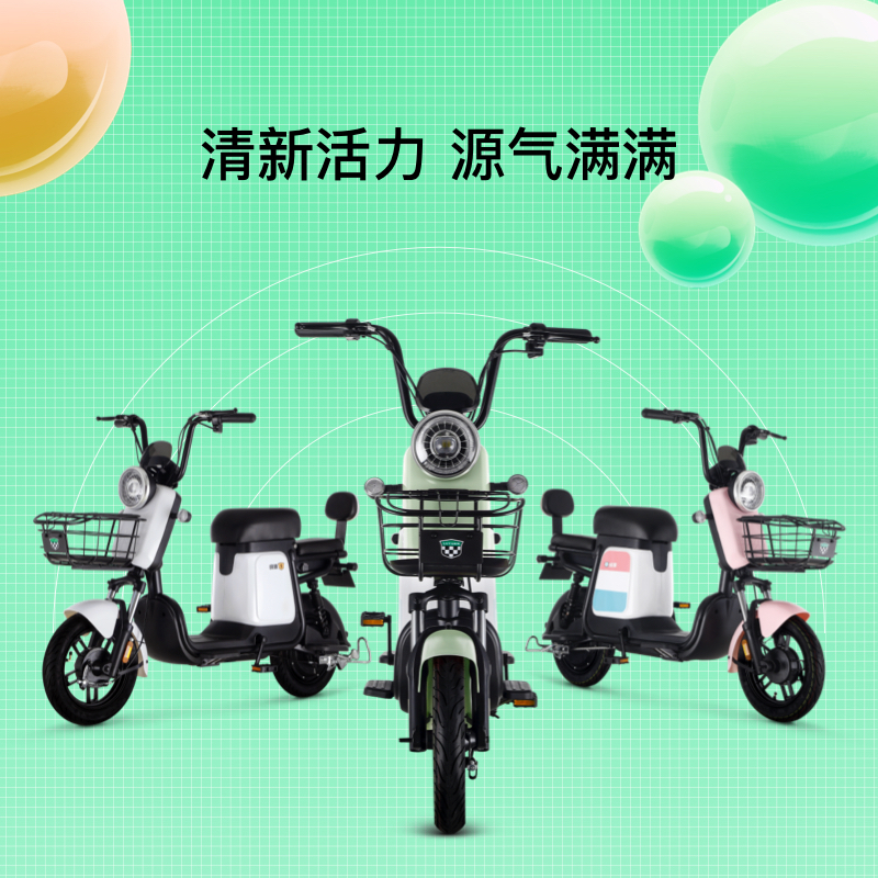 绿源新国标电动自行车48V12AH 翻糖