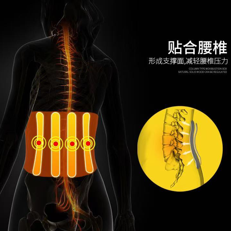 天富星 钢板护腰支撑保护腰带 网眼 个