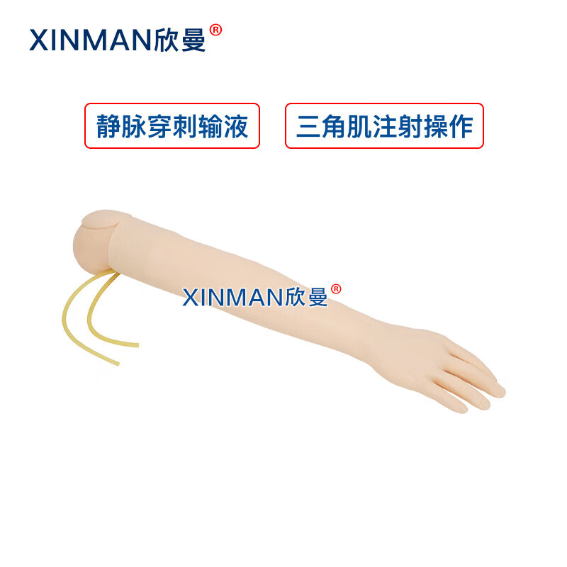 欣曼科教 静脉输液模拟训练模块 静脉穿刺输液手臂及肌肉注射模型XM-S1010高清大图