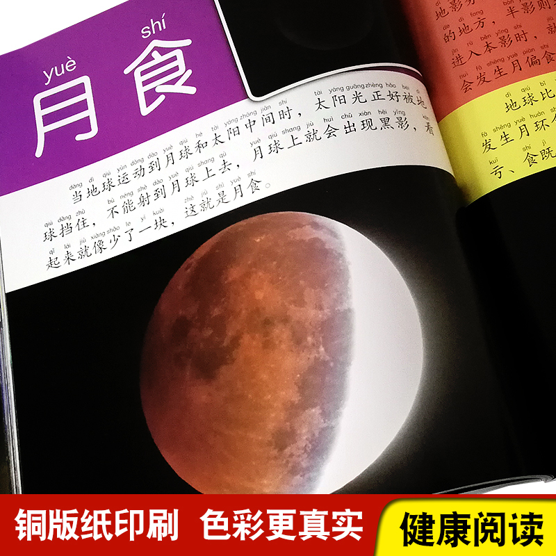 [选3件39元]鸟类 昆虫 [正版]自然百科全书注音版幼儿探索自然奥秘大百科儿童科普绘本小百科读物全套科学认知幼儿少儿儿