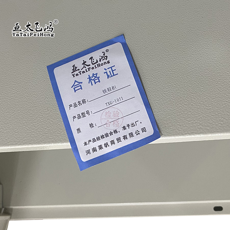 亚太飞鸿-铁鞋柜-TXG-1051-个