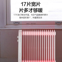 格力(GREE)电油汀取暖器 NDY19-S6130 17片3000W家用 油丁电暖器 节能取暖器 干衣加湿暖气片 油汀
