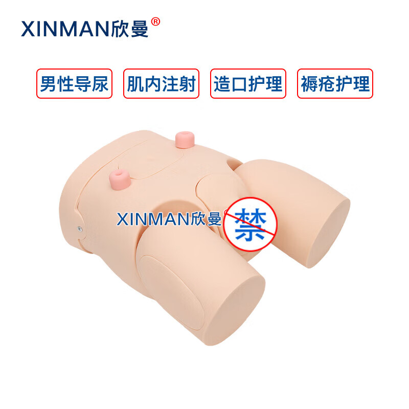 欣曼科教 高级男性导尿操作训练模型 导尿练习模拟人XM-H10高清大图
