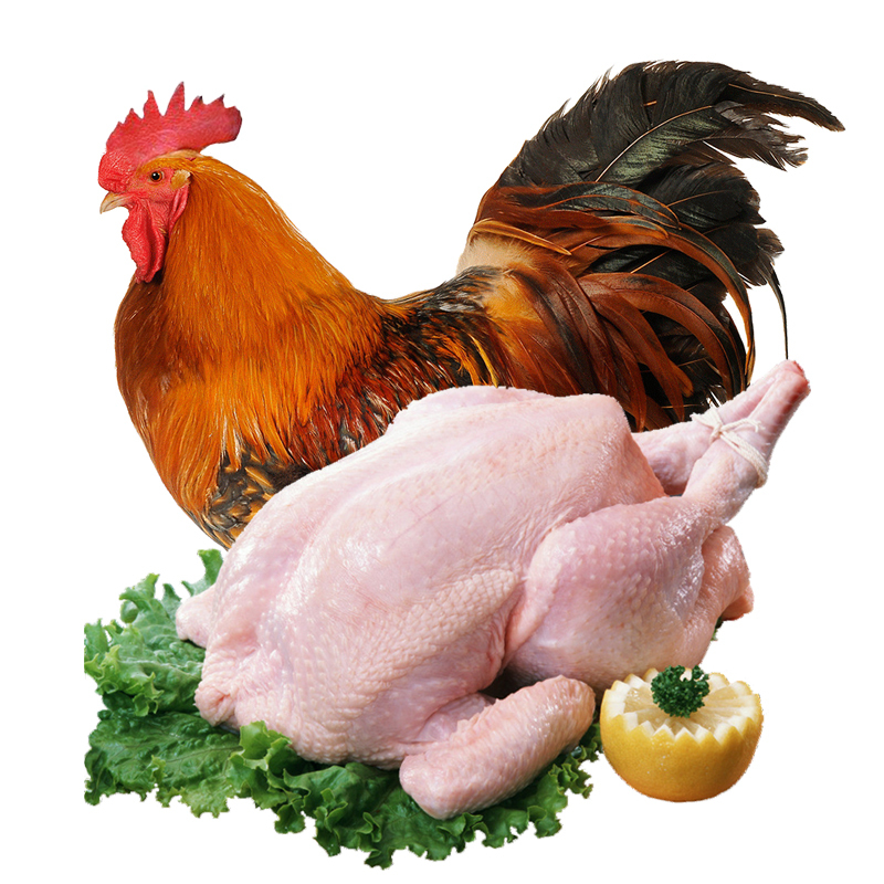 芮瑞土鸡柴鸡农家散养鸡肉大公鸡宰杀后净重约2kg整只装林间散养