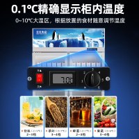 星星优品530升双门展示柜风直冷饮料柜冷藏食品保鲜超市冷饮展示柜 节能省电(高颜值) LSC-520F-U