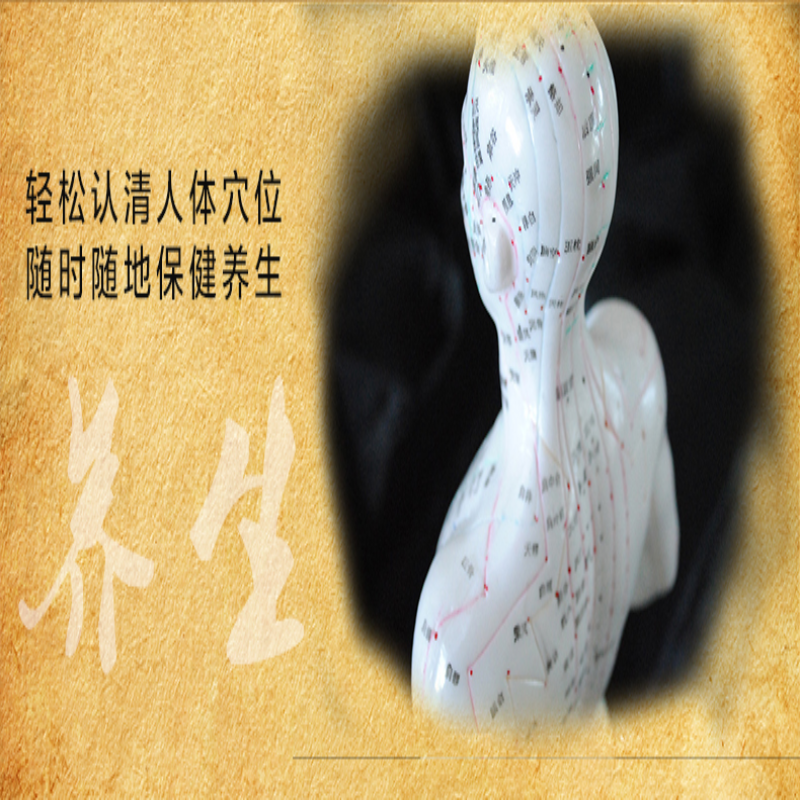 [M]人体经络穴位标准大图册-9787501997886高清大图