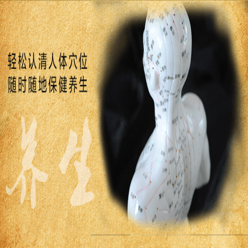 [M]人体经络穴位标准大图册-9787501997886图片