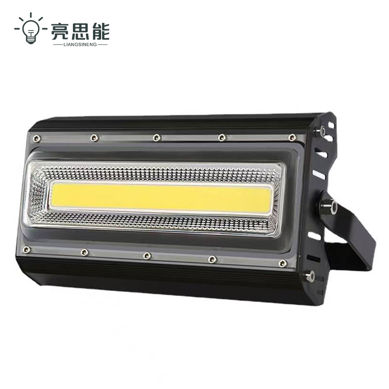 亮思能 LED投光灯 冷库专用灯三防灯 50W 个