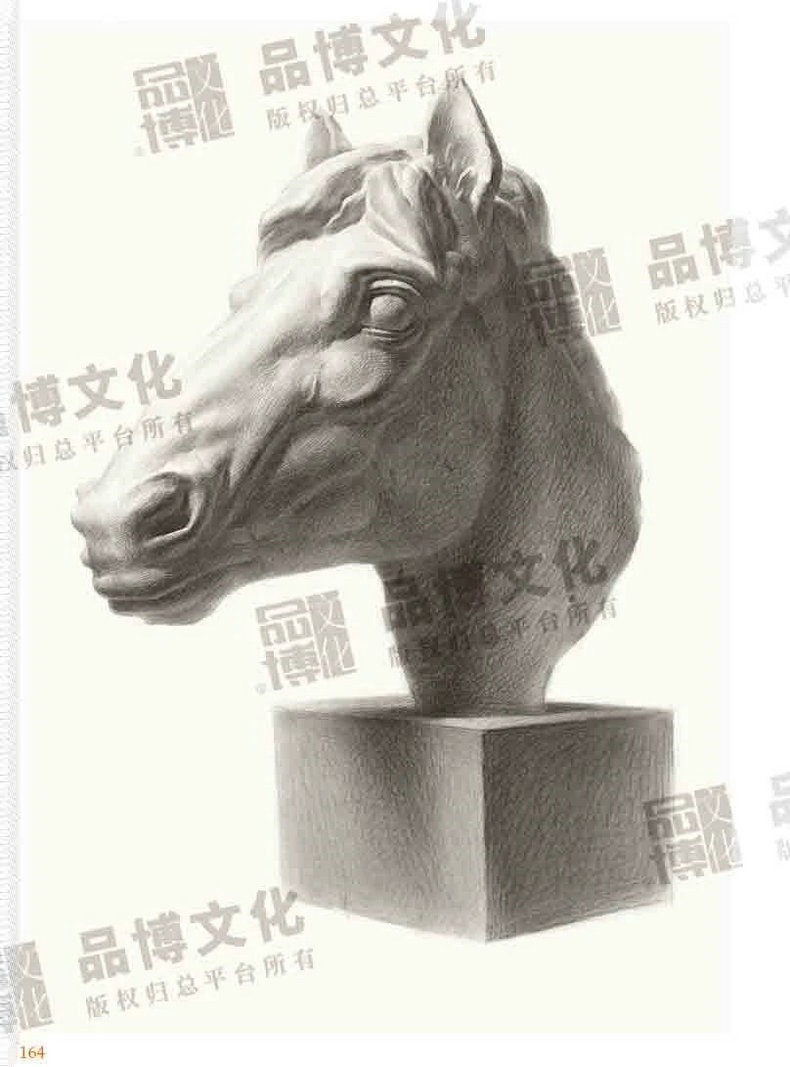 [正版]经典入门2素描静物与石膏像二合一 2023品博文化王洪平高清大图